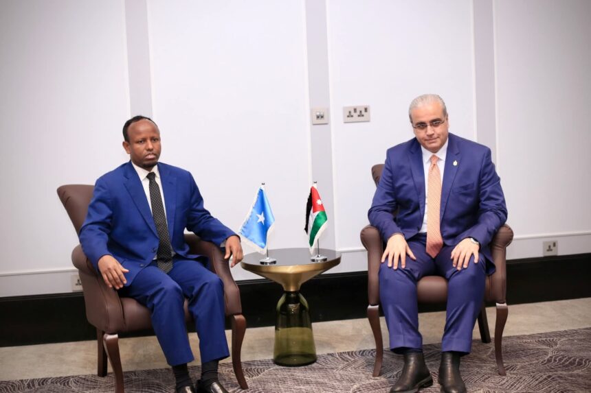 Somalia, Jordan Discuss Strengthening Bilateral Health Cooperation