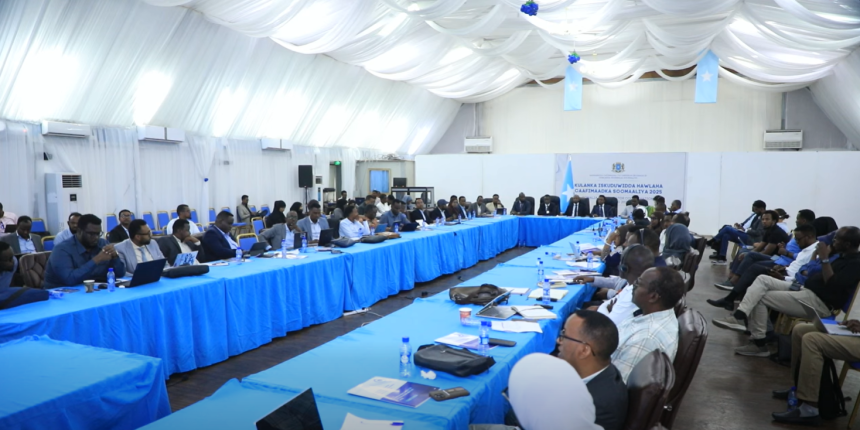 Somalia’s Health Sector Officials Unveil Five-Year Plan for Unified Healthcare System