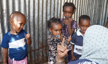 Immunization: progress and challenges in the Eastern Mediterranean Region