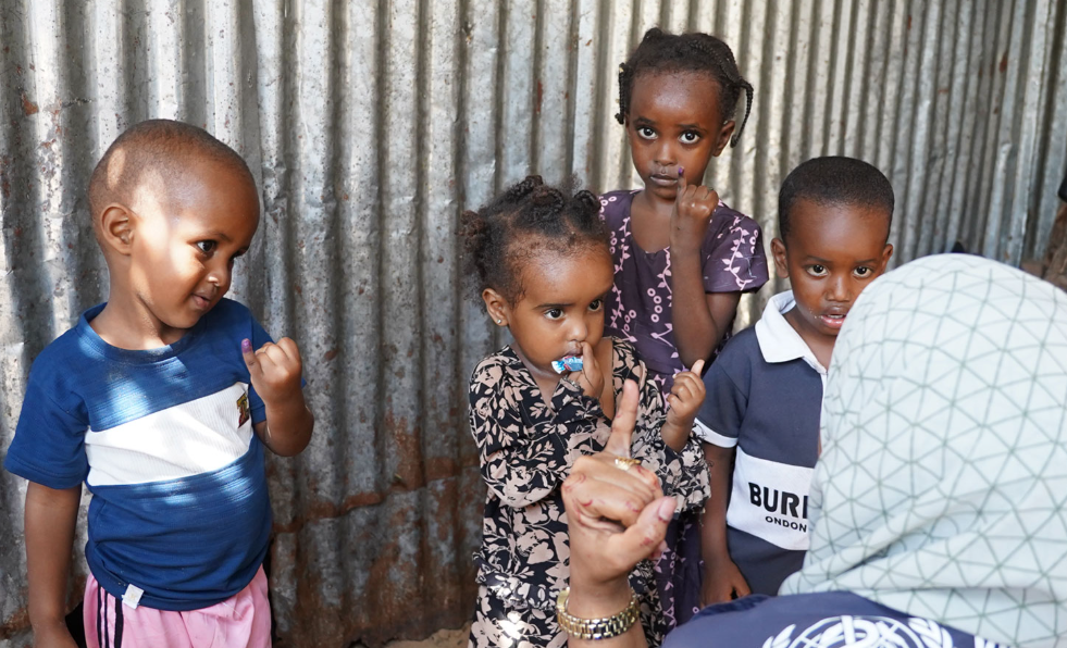 Immunization: progress and challenges in the Eastern Mediterranean Region