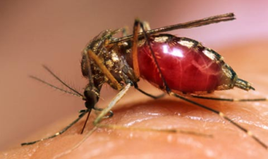 Morocco raises health and education spending in 2026 draft budget