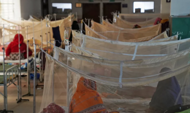 Has Bangladesh’s dengue outbreak reached epidemic levels?