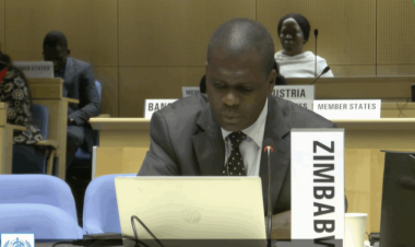 African Countries Affirm Support for Multilateral Pandemic Agreement While Under Pressure to Make Bilateral Deals with US