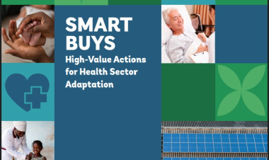 Smart Buys: High-Value Actions for Health Sector Adaptation