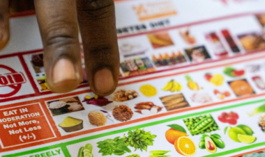 WHO launches global guidelines on diabetes during pregnancy on World Diabetes Day