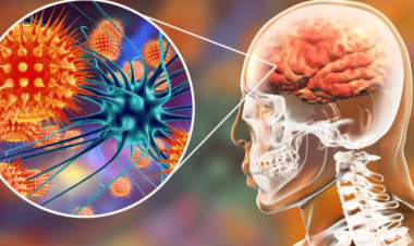 وفاة طالب جامعي بالسحايا في الطفيلة .. والصحة تفحص 46 مخالطًا