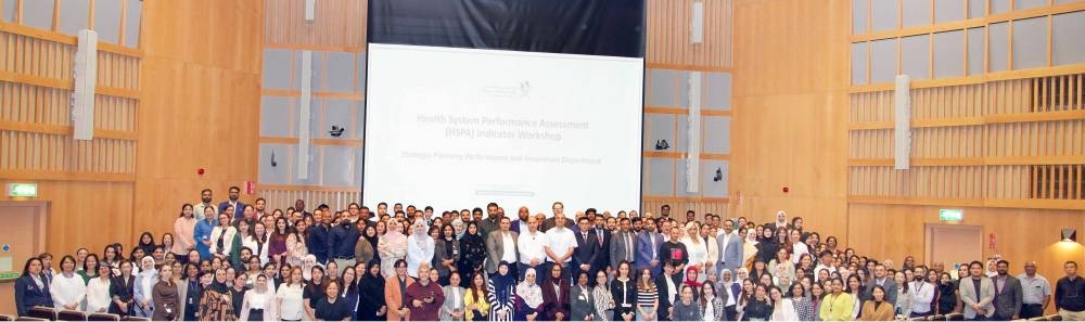 MoPH successfully concludes HSPA Indicators workshop
