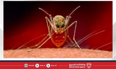 Cuba says 33 have died of mosquito-borne illnesses as epidemic rages