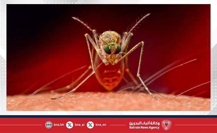 Cuba says 33 have died of mosquito-borne illnesses as epidemic rages