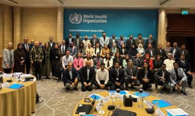 Artificial intelligence for health emergencies: WHO advances public health intelligence and surveillance through innovation