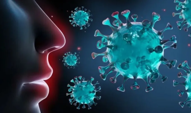 Health Ministry: H3N2 Influenza Currently Spreading in Jordan; Only Two COVID-19 Cases and No RSV Detected