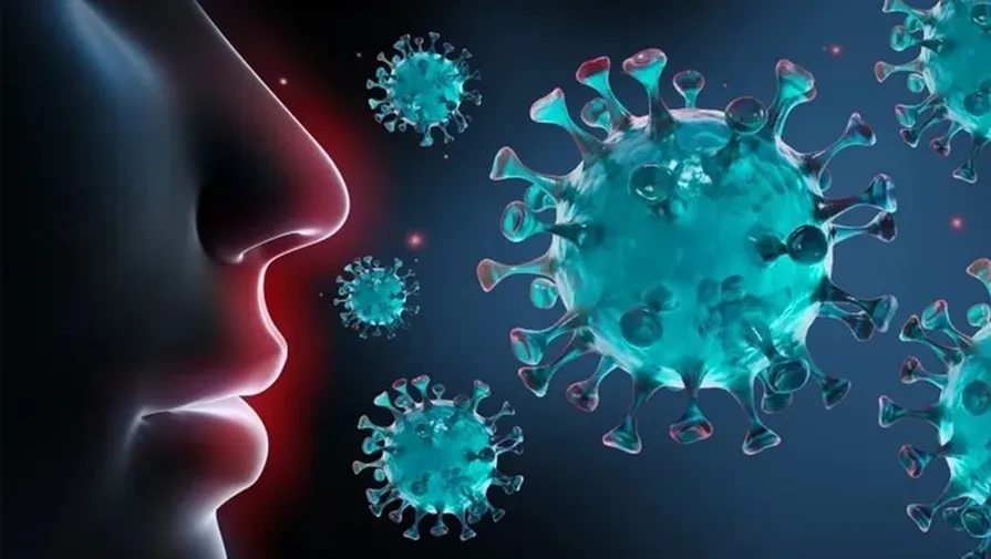 Health Ministry: H3N2 Influenza Currently Spreading in Jordan; Only Two COVID-19 Cases and No RSV Detected