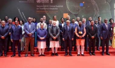 WHO Global Summit charts a bold future for traditional medicine