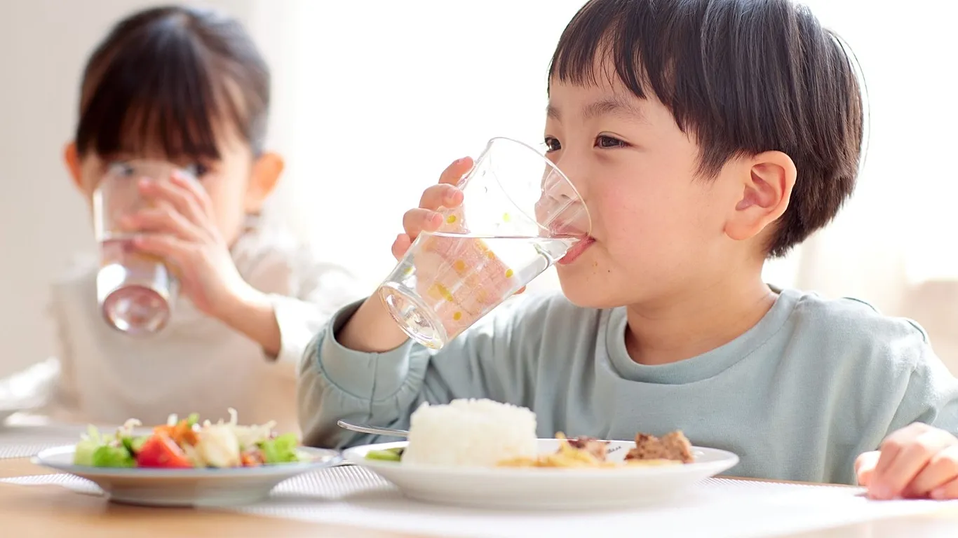 New study says universal school meals could cut hunger and halve diet-related emissions