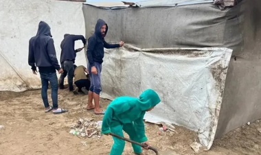 Transmitted by Rats and Rodents: Warnings of a Potential Leptospirosis Outbreak in Gaza