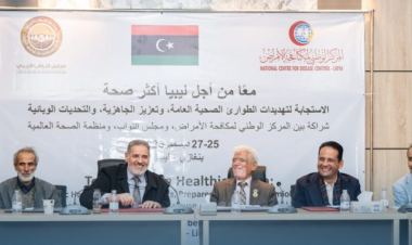 Health and Environment Committee discusses ways to strengthen response to health emergencies