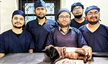 One health, one future: The critical role of Bangladesh’s veterinarians