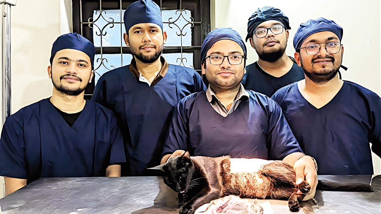 One health, one future: The critical role of Bangladesh’s veterinarians