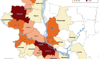 Research and development priorities for Nipah virus outbreak preparedness