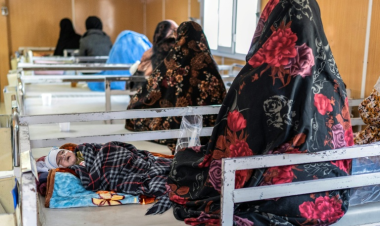 Five Million Afghan Women and Children at Risk of Acute Malnutrition, WFP Warns