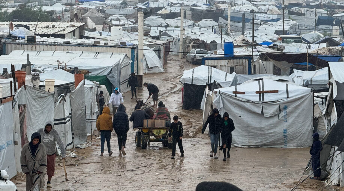 Researchers warn of “de-healthification” in Palestine as infections spread in Gaza