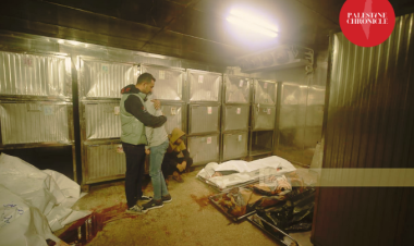 Gaza Health Releases New Devastating Numbers, Warns Health System Near Collapse