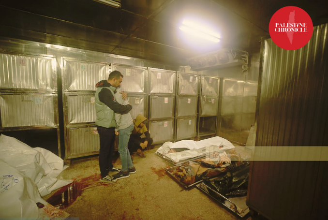 Gaza Health Releases New Devastating Numbers, Warns Health System Near Collapse