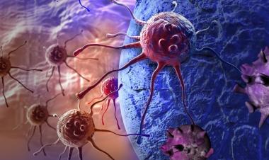 الكشف عن خلايا سرطانية محورية تقود نمو الأورام وتسبب مقاومة العلاج