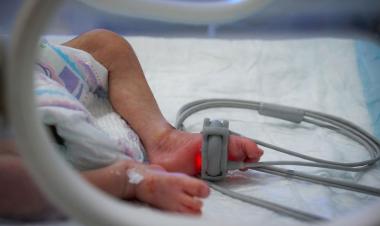 World Health Organization appeals for urgent health funding to protect millions of lives in Yemen in 2026