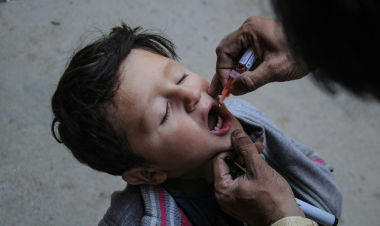 Wild Poliovirus Transmission Persists in Afghanistan and Pakistan