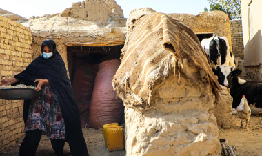 FAO, UNICEF and France join forces to strengthen food security and nutrition for earthquake-affected families in eastern Afghanistan