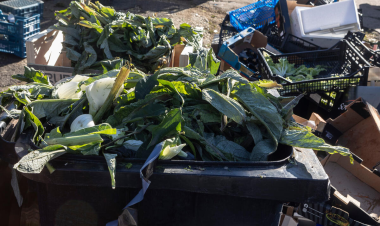 FAO experts assess risk of antimicrobial resistance spreading via food loss and waste