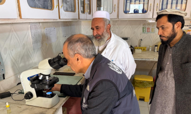 WHO and national health partners complete malaria programme review in Afghanistan