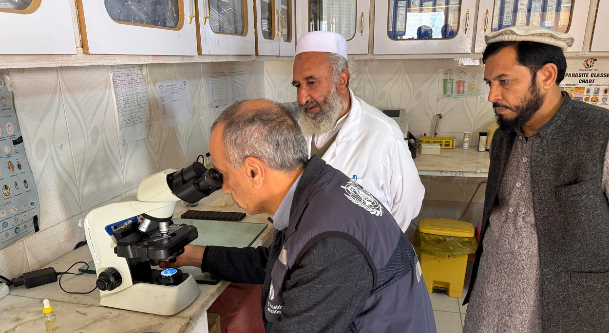 WHO and national health partners complete malaria programme review in Afghanistan