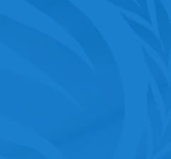 A/HRC/61/63: Report on women’s and girls’ right to health in Afghanistan (Advance unedited version)