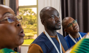 Local voices, local data: how localization can strengthen malaria elimination across Africa