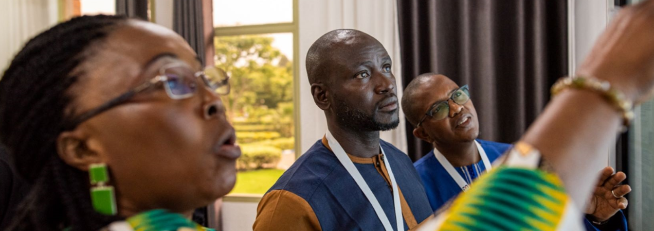 Local voices, local data: how localization can strengthen malaria elimination across Africa