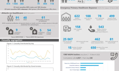 WHO Lebanon Health Emergency Situation update #12 (20 March 2026)