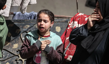 WHO suspends Gaza medical evacuations after contractor killed by Israeli troops