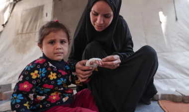 Gaza’s second front: The battle against disease-carrying rats