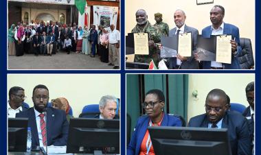 Sudan launches a 5-year plan to end cholera as a public health threat