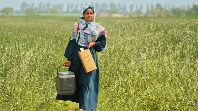 ‘This work chose me’: Pakistan’s women vaccinators protecting millions on the frontlines