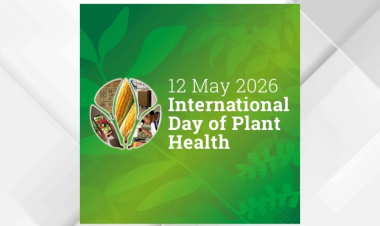 The Green Shield: Jordan’s High-Stakes Battle for Plant Biosafety