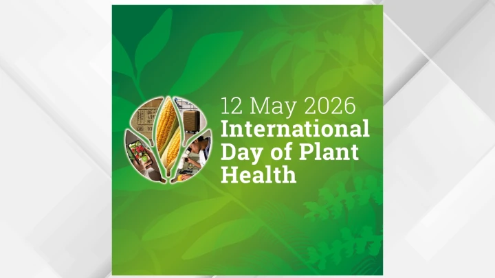 The Green Shield: Jordan’s High-Stakes Battle for Plant Biosafety