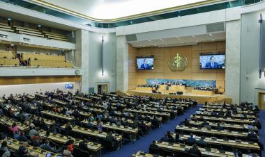 The World Health Assembly adopts updated Global Action Plan on Antimicrobial Resistance (2026–2036)