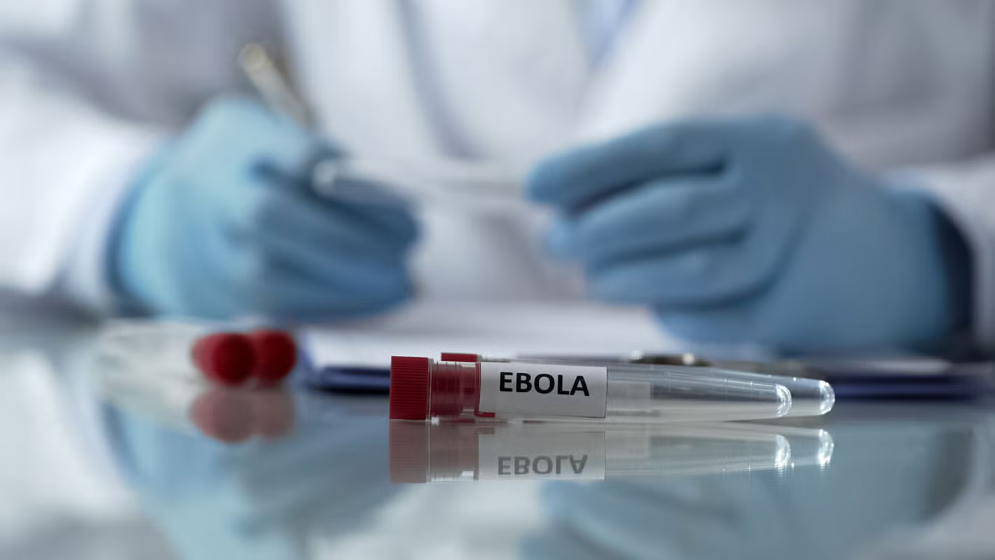 PAHO steps up preparedness across the Americas amid Ebola outbreak in Africa