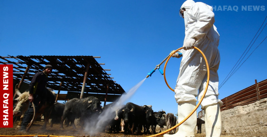 CCHF kills nine and infects 145 in Iraq