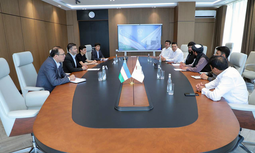 Afghanistan, Uzbekistan move to expand cooperation in pharmaceutical sector