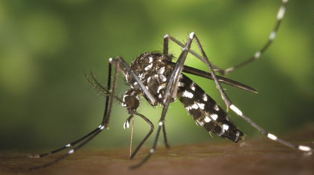 Nationwide physician training launched to strengthen dengue response, reduce  fatalities