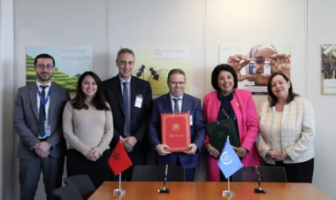 Morocco, IAEA Expand Partnership to Advance Cancer Care, Training Across Africa